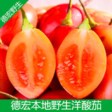 云南德宏特产 新鲜野生树番茄 洋酸茄 洋鸡蛋 新鲜蔬菜500g