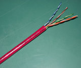 日线 NIPPON CAT5e正品超五类网线纯铜网线原装网线 RD 红色网线