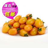 黄圣女果500g 樱桃番茄 小西红柿 新鲜水果 武汉满百包邮