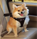 Solvit宠物车载安全带 狗狗汽车用品可伸缩胸背带大中小型犬狗绳