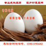 大种鹅蛋受精蛋鹅蛋可孵化鹅蛋鹅受精卵皖西白鹅四季鹅种蛋