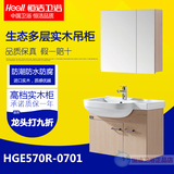 恒洁卫浴正品HGE570R-0701进口多层实木浴室柜挂墙吊柜 时尚简约