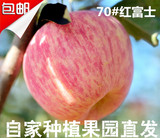 山东特产栖霞红富士新鲜水果苹果小80包邮脆甜冰糖心正宗烟台苹果
