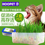 水晶猫草种子种植套装 猫咪去毛球助消化调理肠胃猫零食送猫薄荷