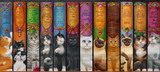 【DMC十字绣套件】HAE-Cat Bookshelf猫咪书架猫咪书房梦幻满绣
