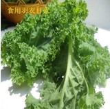 新鲜蔬菜 新鲜羽衣甘蓝 新鲜嫩叶 沙拉蔬菜 北京同城配送 500