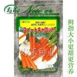 日本进口 迷你胡萝卜种子 特小手指拇指萝卜阳台盆栽种菜蔬菜秋季