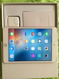 iPad mini 4金色插卡+Wi-Fi版128G三网4G