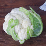 农家白花菜1颗约700克 新鲜蔬菜，沃鲜汇生鲜超市菜市场