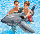 原装正品INTEX写实鲨鱼座骑 充气动物坐骑 水上戏水玩具 儿童成人