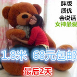 布娃娃可爱超大号毛绒玩具泰迪熊抱抱熊大熊1.6米公仔 生日礼物女