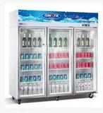 星星经济型三玻门展示柜SG1.6E3 冰柜 饮料展示柜 冰箱 保鲜柜