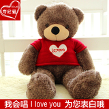 泰迪熊公仔抱抱熊毛绒玩具熊1.6米狗熊抱枕熊猫布娃娃生日礼物女
