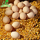 绿凤 土鸡蛋农家散养20枚新鲜 草鸡蛋笨鸡蛋正宗土特产有机月子蛋