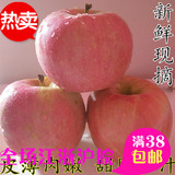 高山野生丑苹果新鲜水果原生态冰糖心红富士苹果脆甜多汁500g