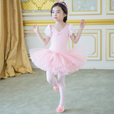 韩国正品代购儿童舞蹈女孩女童练功服芭蕾舞裙蓬蓬裙舞台演出粉色