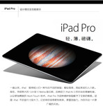 Apple/苹果 iPad Pro 4G版 128GB 平板电脑 12英寸 15年新款 国行