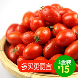正宗海南陵水圣女果馋嘴小番茄酸甜可口新鲜水果300g/3盒