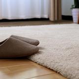 东升地毯现代简约客厅茶几沙发地毯卧室满铺床边毯地垫加厚