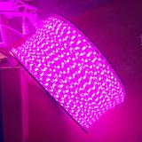 LED紫光灯带吊顶彩灯条灯槽装饰灯led贴片5050粉红灯带背景墙彩灯