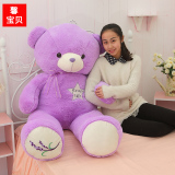 毛绒玩具泰迪熊可爱公仔紫色抱抱熊大号布娃娃布艺熊生日礼物女生