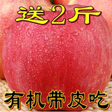 兔子果园新鲜水果苹果烟台栖霞红富士胜王小二超牛顿阿克苏冰糖心