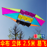 X51包邮  雷达 立体 风筝 潍坊 2.5米 伞布 易飞 树脂杆