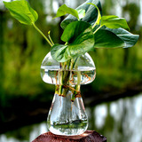 Manley创意蘑菇透明玻璃水培植物花瓶 家居摆设餐桌富贵竹花瓶