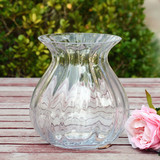 美丽满屋透明水培玻璃花瓶摆件可养花 创意家居装饰品摆设工艺品