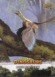UPPER DECK 恐龙卡普卡13archaeopteryx始祖鸟