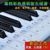 彩色透明琴键贴纸 五线谱贴纸 钢琴  电子琴初学入门 教学辅助