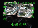 阳光灯泡全新加贺普乐士U2-1150C 投影机灯泡进口灯芯原装品质