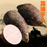 广西桂林特产农家自产香芋槟榔芋5斤包邮坏包赔正宗荔浦新鲜芋头