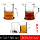 加厚透明耐热玻璃雪菊壶红茶泡茶杯带过滤功夫茶壶玻璃茶具泡茶器
