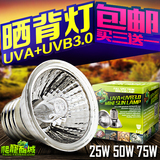 乌龟uva+uvb3.0晒背灯加热灯爬虫箱陆龟饲养箱全光谱太阳灯水龟