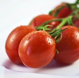 圣女果/小番茄/小西红柿500g 新鲜蔬菜 粉柿子石家庄市区包邮配送