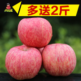 太阳果 灵宝红富士苹果送2斤共10斤新鲜吃的水果脆甜批发特价包邮
