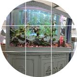 鱼缸水族箱欧式靠墙鞋柜底过滤弧形双圆落地创意中型大型玻璃定制