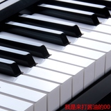61键液晶显示多功能仿钢琴键盘儿童成人初学电子琴