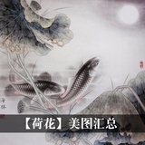 高清古风荷花鸟牡丹设计临摹喷绘素材中国古典水墨画荷塘莲花国画