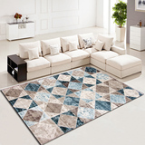 现代简约客厅地毯 进口简欧北欧美式时尚沙发卧室茶几垫抽象地毯