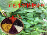 壮乡大山五色糯米饭五色花米饭天然植物染料红色叶子
