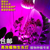 LED植物生长灯补光灯 多肉植物 大棚室内植物 花卉红蓝光合作用灯