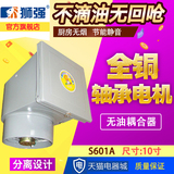 狮强S601A厨房排气扇家用10寸静音窗式抽油烟机强力排风扇换气扇