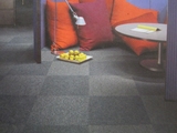 办公室地毯会议公司PVC底满铺方块毯加密简约写字楼防潮实用地毯