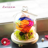 永生花礼盒玻璃罩 七彩玫瑰保鲜干花新年结婚情人节 女友生日礼物