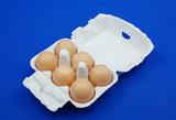 【6枚白色纸浆蛋托】中小号土鸡蛋草鸡蛋洋鸡蛋包装盒内径43 ZJ6