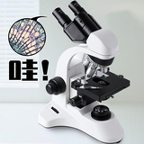 新专业双目光学生物显微镜科研学生高清养殖195物镜LED光源一滴血