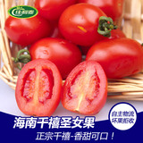 【北京包邮】正宗千禧圣女果2.5KG 小西红柿 番茄鲜果 新鲜水果
