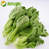 麟海蔬果 新鲜蔬菜绿色无公害农场自种纯情小青菜 叶菜 200克/盒